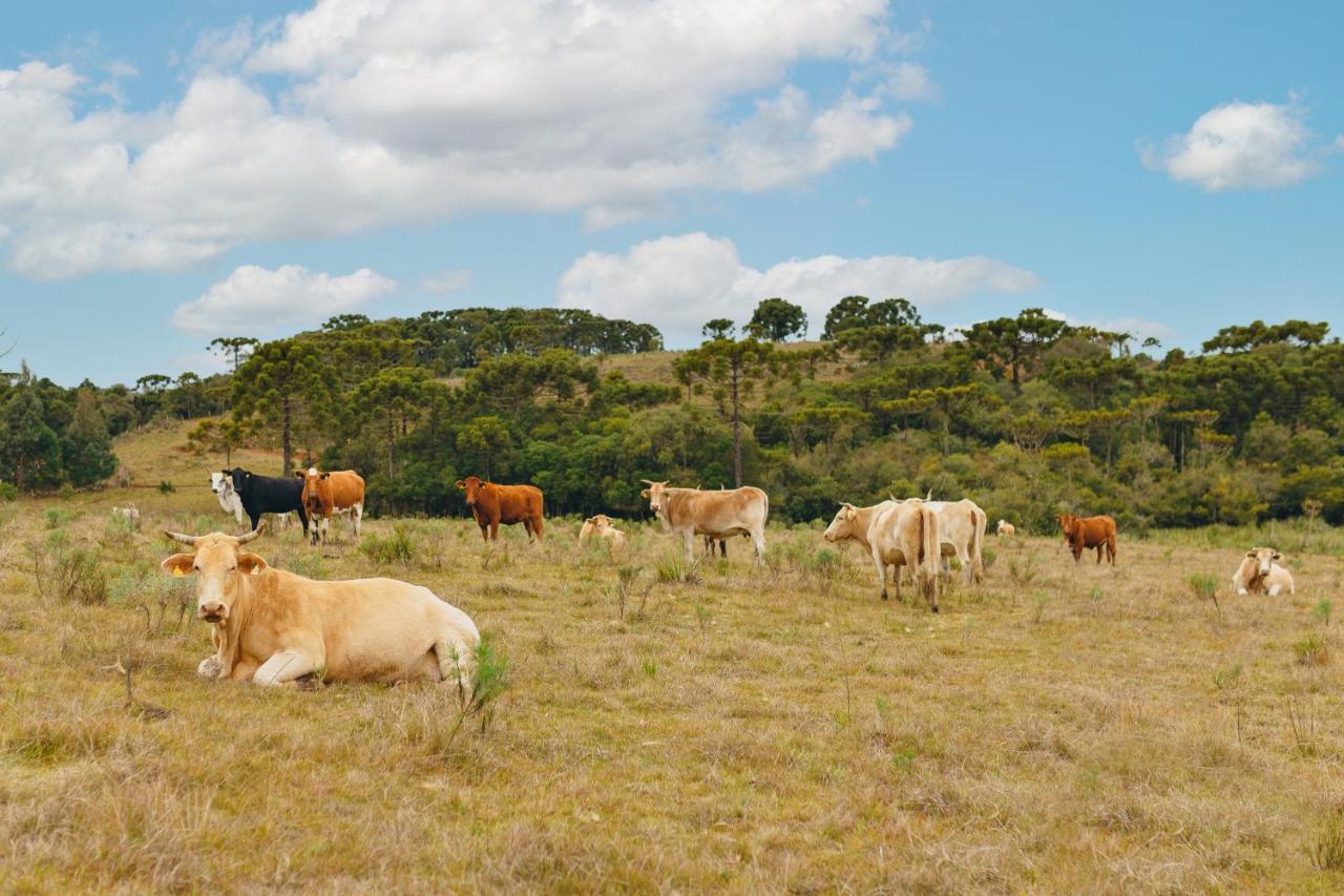 Cerro Azul Hotel Fazenda Capao Alto ภายนอก รูปภาพ
